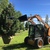 Carrying a mountain pine with our custom tree boom attatchment