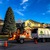 Total tree solutions truck and chipper in front of shaped spruce tree