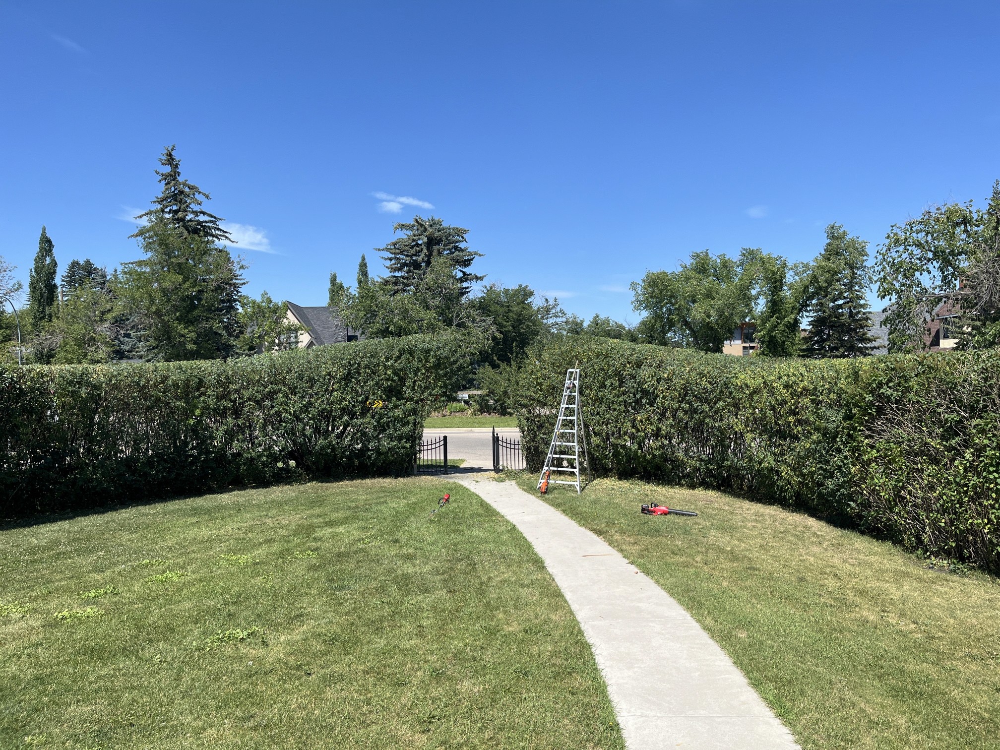 Landscaping project